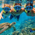 Snorkeling And Marine Life In The Sea Of Cortez