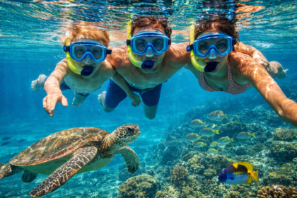 Snorkeling And Marine Life In The Sea Of Cortez