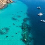 Mexico Is Expanding Marine Protected Areas In The Sea Of Cortez