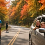 Scenic Driving Day route through wooded Rock Creek Park road in autumn
