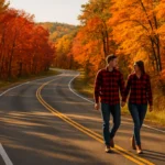 North Dakota scenic routes with autumn trees beside a quiet prairie road