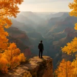 North Rim Fall viewpoint road with pine forest and canyon cliffs in cool afternoon light